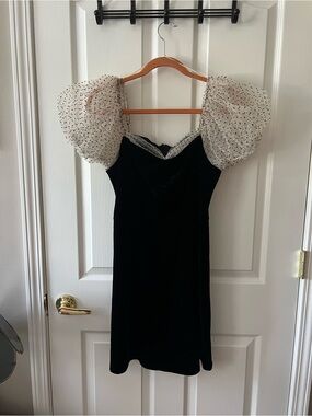 Petal and Pup from Nordstrom’s NWT Velvet Dress